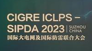 天瑞電子公司參加國際大電網(wǎng)及國際防雷聯(lián)合大會